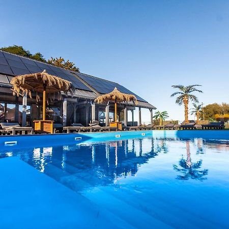 Royal Palm Mielnoヴィラ エクステリア 写真